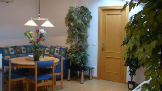 Apartamento despedidas Zaragoza