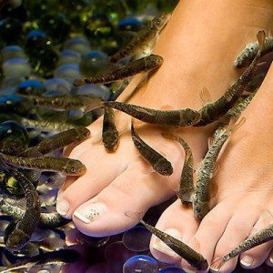 Relax y pedicura despedidas en Vitoria